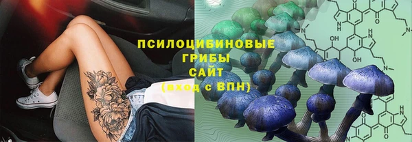 не бодяженный Арсеньев