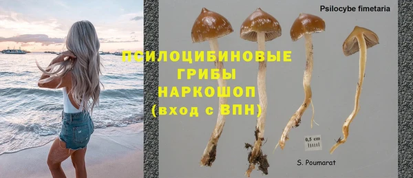 спиды Армянск